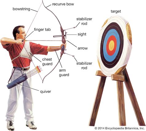 Sport with arrows .